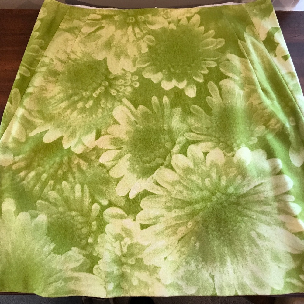 Tahari Skirt
